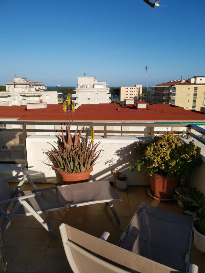 Pina Beach Holidays La Pineda Zewnętrze zdjęcie